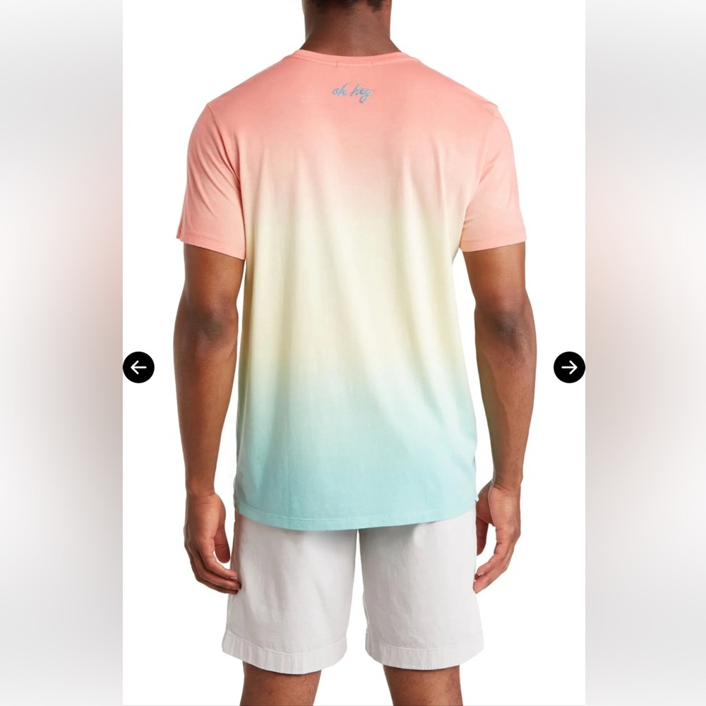 Marine Layer Coral and Blue Ombré Sunset Embroidered Tee Men’s Medium. - Picture 3 of 10